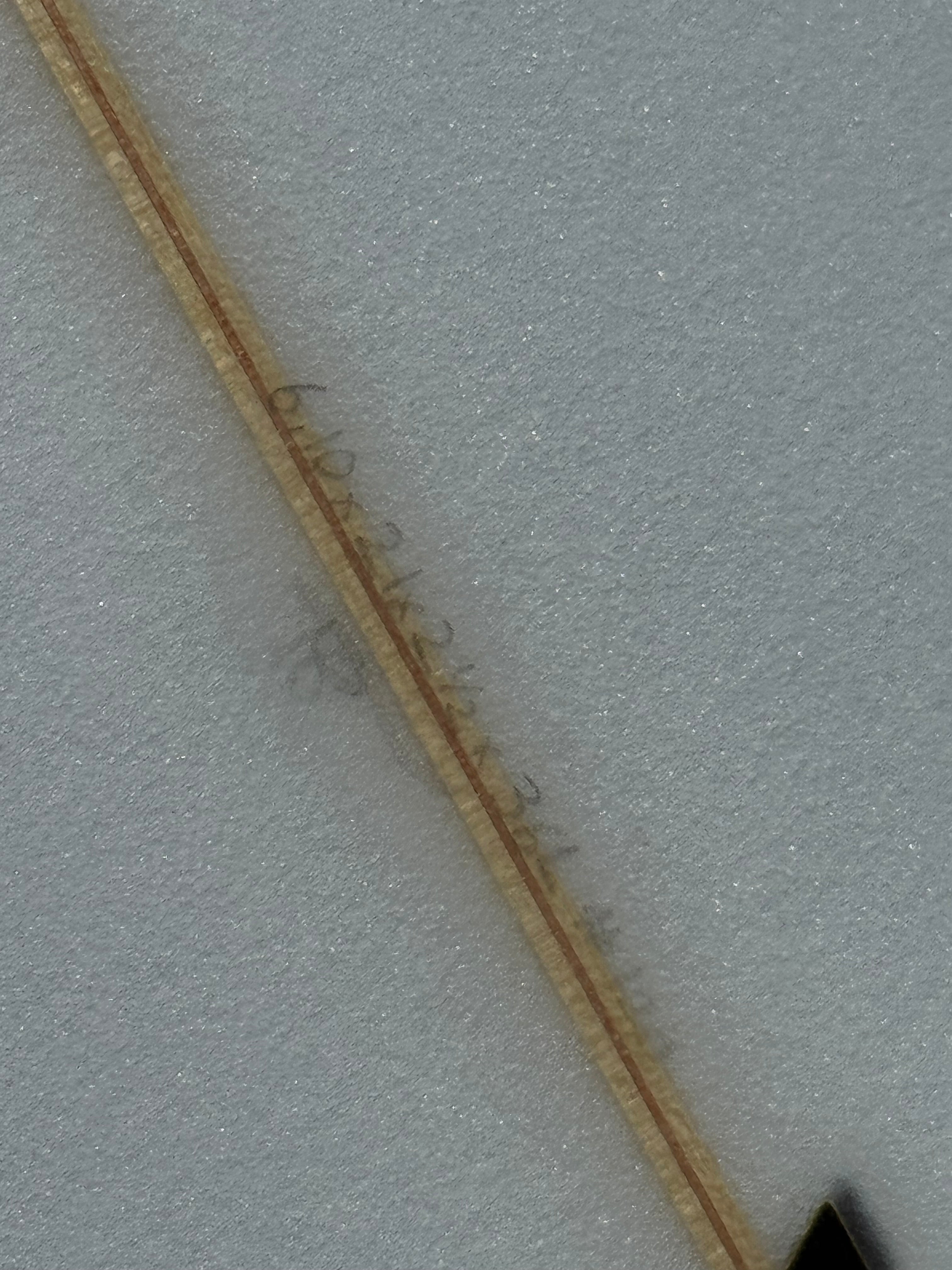 6’10 Vectra Long twin